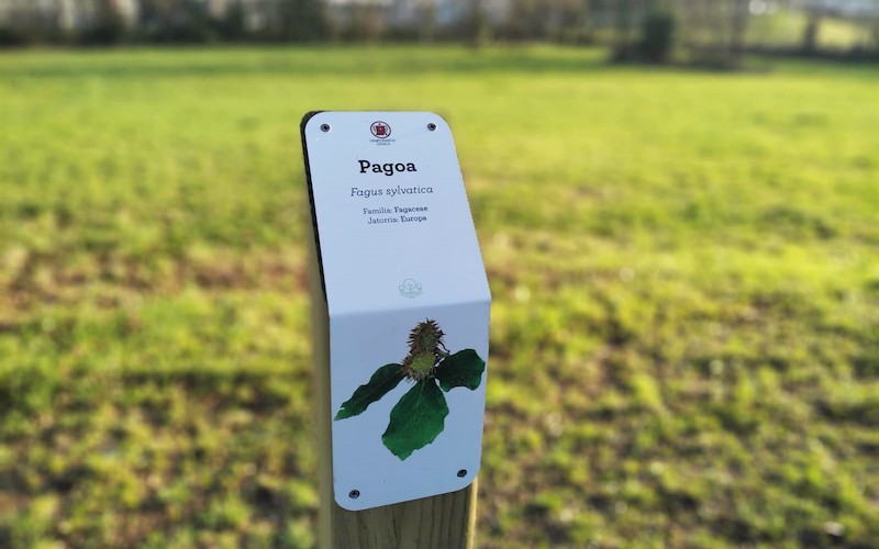 bidegorria zuhaitzak