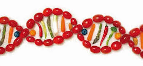 Nutrizioa eta genetika