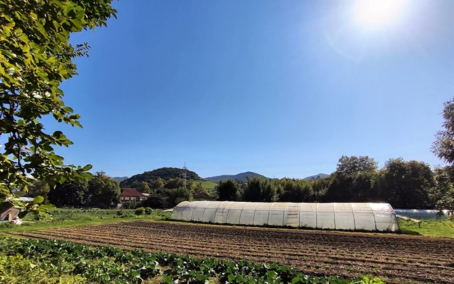 lehen sektore diru-laguntzak oiartzun 2023