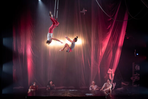 SUSTRAI zirku ikuskizunerako BI SARRERA BIKOITZ