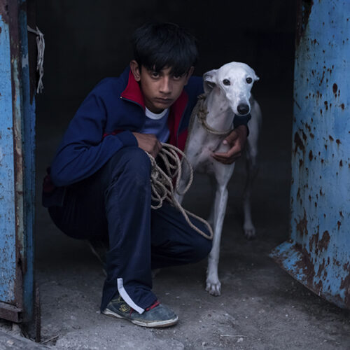 'CIUDAD SIN SUEÑO' filmerako SARRERA BIKOITZA