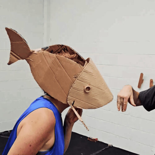 HODEI GUZTIEN GAINETIK emanaldirako BI SARRERA BIKOITZ